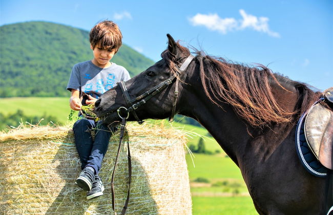Końska Dolina - Photo 53