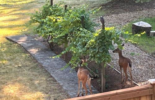 Whispering Pines Farmhouse - Foto 2