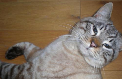 Agriturismo Villa Cheti - Foto 37