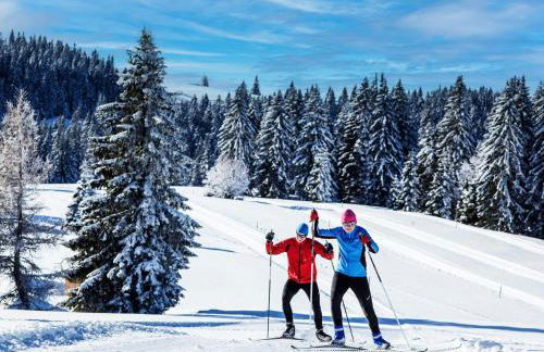 Black Forest Luxury Apartment Bärenhöhle mit Sauna - Foto 43