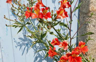 Emplacement de rêve, Maison à 20m des Plage - Foto 35