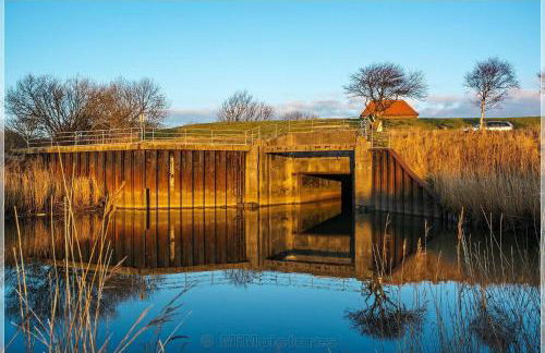 Ferienhof HaaBo - Foto 5