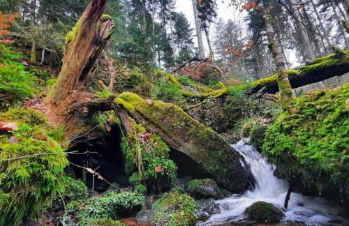 Heidi Away - Foto 15