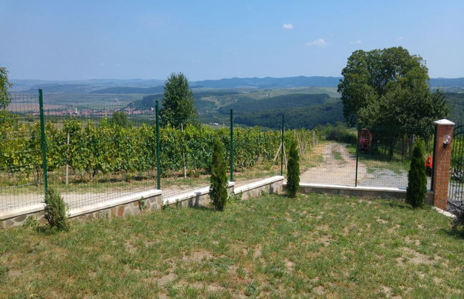 Vila Dintre Vii - Foto 12