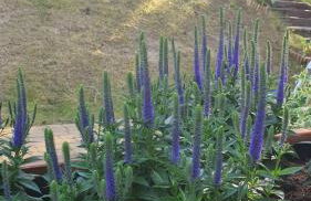 Domek A 133 Caffe Latte- Kaszubska Ostoja - Foto 18