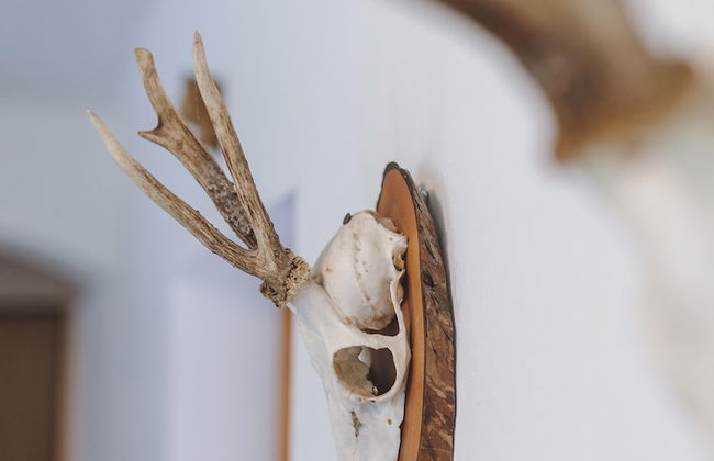 Holiday Home, Fusch an der Glocknerstrasse - Foto 59