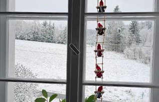 Graniczna 21 - w Górach Sowich - Foto 24