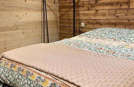 Appart 8 pers ac Jacuzzi portes du soleil La Chapelle-Chatel - Photo 16