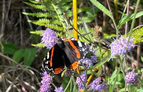 Ryehill with Fishing - Foto 25