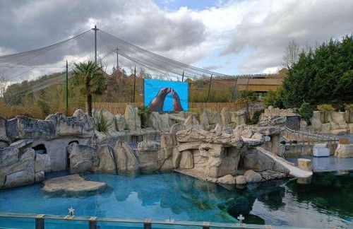 Gîte climatisé VILLA ESPERANZA à Valençay 2 à 5 p proche zoo de Beauval et châteaux Pour touristes et travailleurs - Foto 24