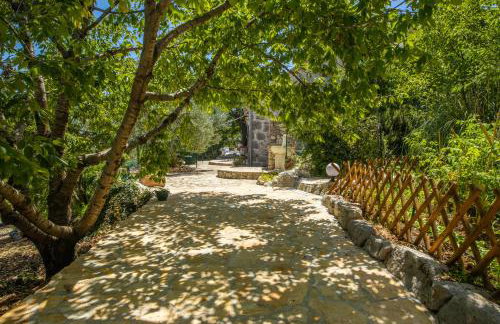 Etno House Wagner - Foto 13