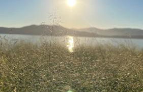 Apartamento aconchegante perto do mar - Photo 20