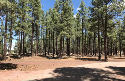 Grand Canyon Cottage at Historic Wrigley Ranch with Horseback Riding & Hiking - Foto 6