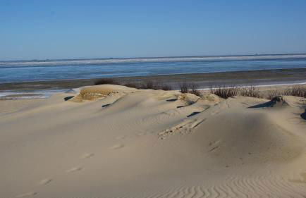 Ferienwohnungen Auf der Düne - Foto 51