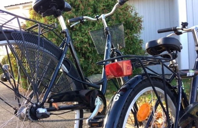 Villa Björkhagen - Foto 33