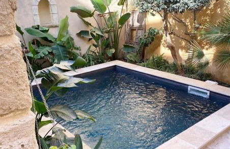 La Maison du Trident en Camargue Piscine et Jacuzzi - Foto 57