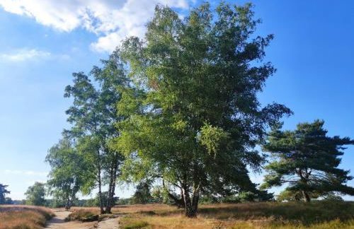 Mamat Ferienwohnungen - Foto 20