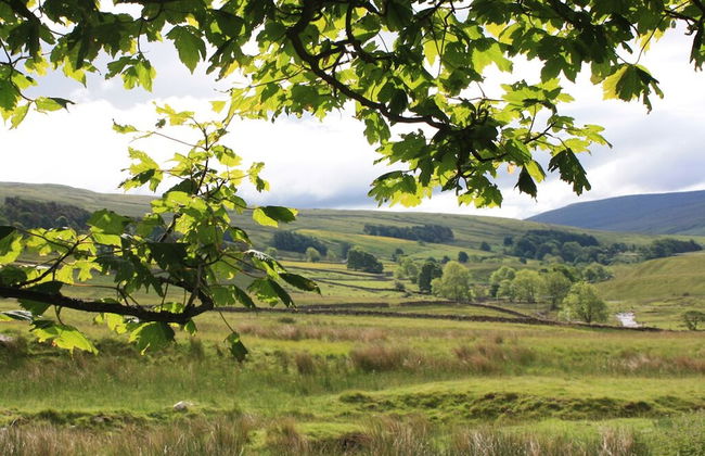 Nethergill Haylofts - Foto 11