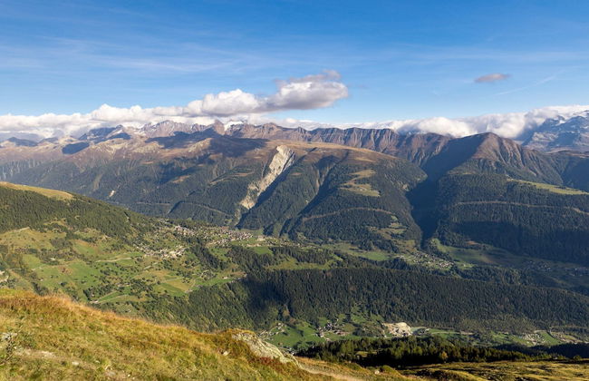 Chalet Okkernoot - Foto 15