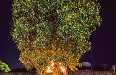 Flat Morada da Neblina! - Foto 34