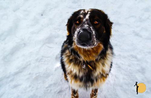 Ferienwohnungen Gut Mischenried - Foto 47