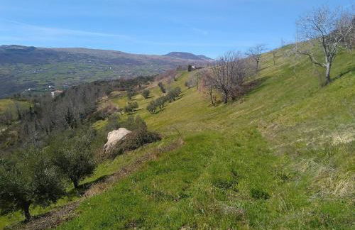 Casa nei 3 alberi, Molise - Foto 54