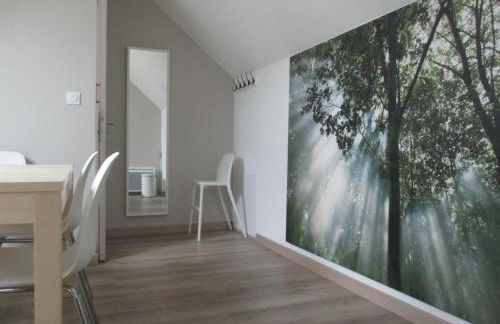 Studio & Gîte Zen de Beauval- 800 m du Zooparc - Photo 14