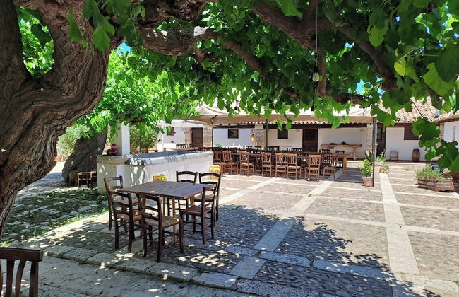 Fattoria Manostalla - Foto 47