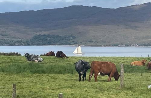 Plockton, Camus Fearn Barn - Foto 21