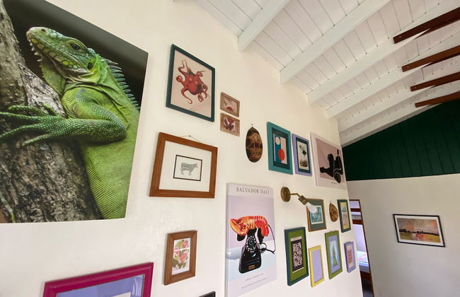 Sea Cliff Eco-Cottages & Gin Distillery - Photo 27