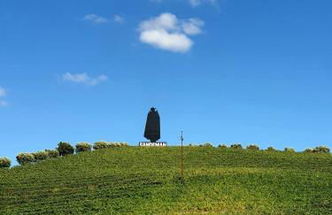 Vivenda Oliveira - Alojamento Local - Photo 40