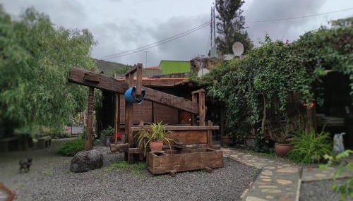 Finca Alda - Foto 4, Garden