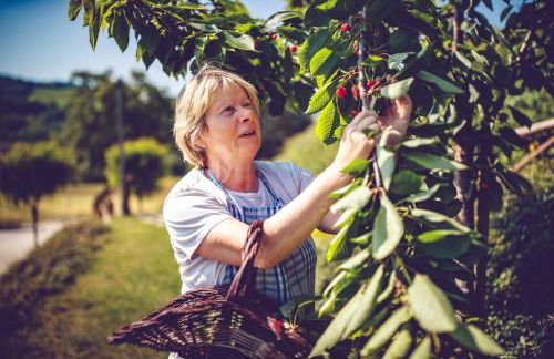 Agriturismo Casal San Sergio - Photo 67
