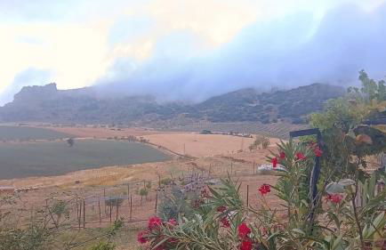 Nature Lovers Escape on an Eco-friendly Vineyard - Foto 50