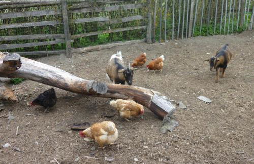 Residence Sonja - Foto 14