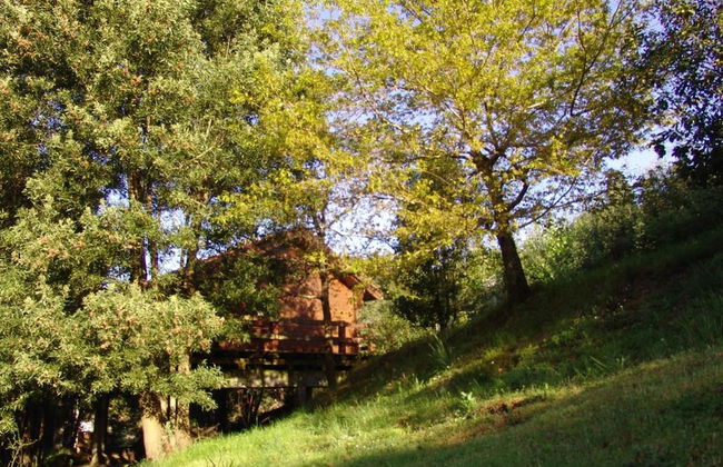 Stunning Rustic House River View - Foto 18