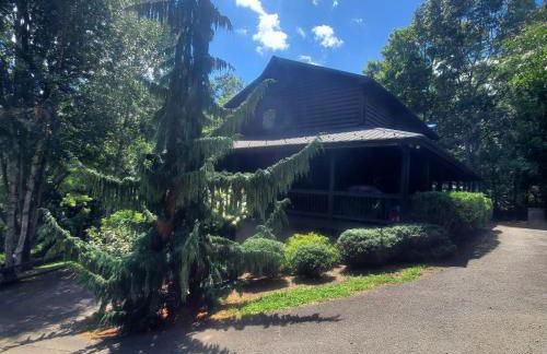 Evergreen Retreat - Foto 15