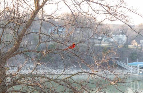 New Best Location Spectacular Views Dock Arcade - Foto 29