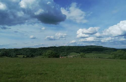 Lisi Zakątek - Foto 48