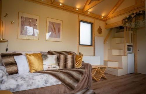 Tiny house au cœur du marais - Foto 51