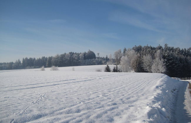 Wohnung in Rotthalmunster mit Garten - Photo 18