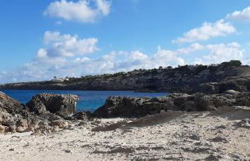 Estudios Nandy - Foto 19