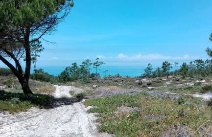 Casa Rio da Prata - Foto 37