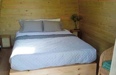 Centenária - Foto 6