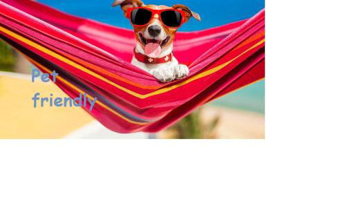 Appartamenti Casa Nina, lago,montagne, uliveti - Foto 69