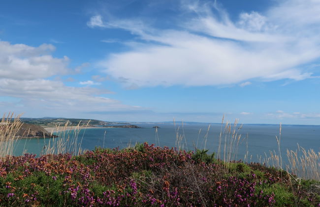 Milin-Avel - Foto 29