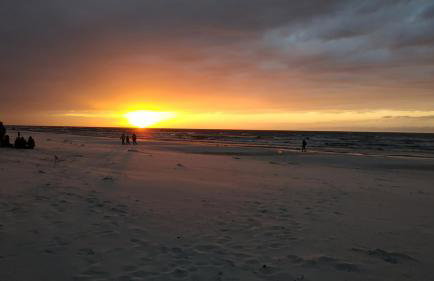 Mandarynkowy - Foto 7