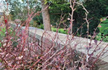 Swallow cottage, Over Kellet - Foto 35