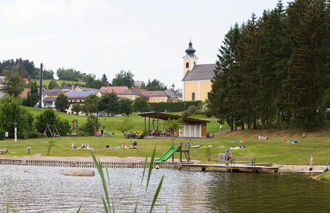 Holiday Home in Altmelon Near Weinsberg Forest - Foto 31