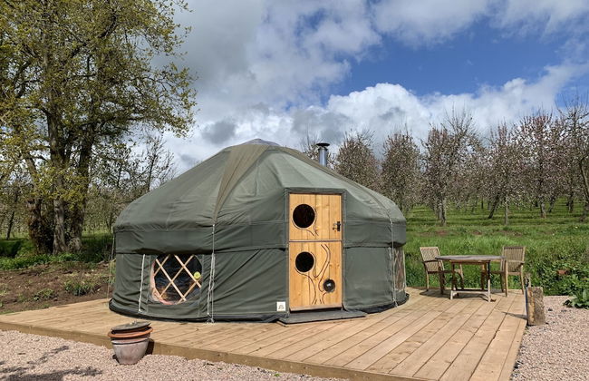 Dragon Orchard Retreat - Photo 31